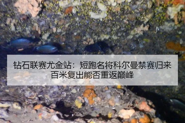 zuan-shi-lian-sai-you-jin-zhan-duan-pao-ming-jiang-ke-er-man-jin-sai-gui-lai-bai-mi-fu-chu-neng-fou-chong-fan-dian-feng-3-724.jpg